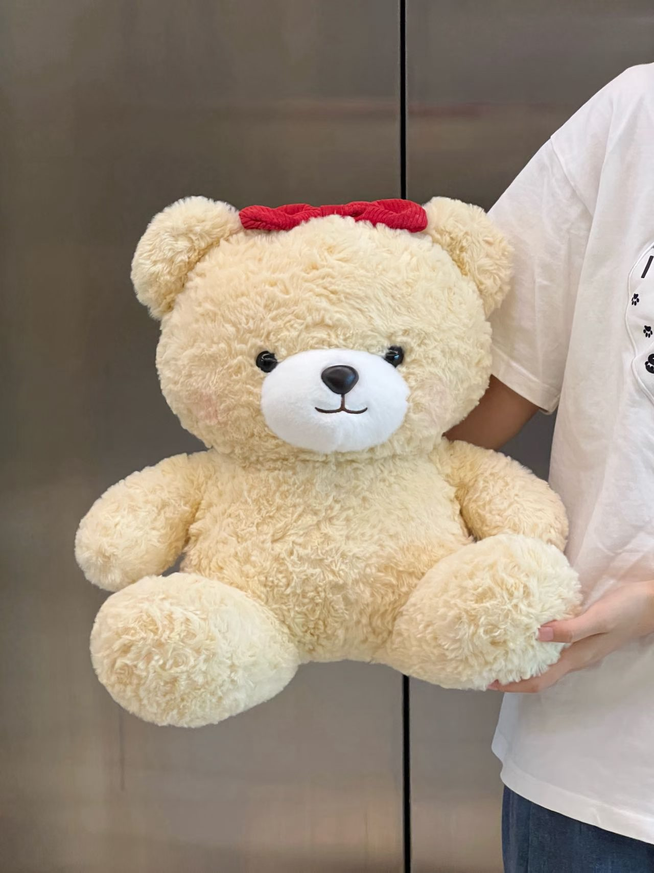 蝴蝶结小熊